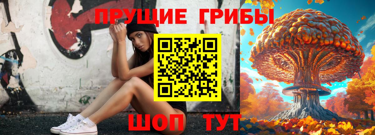 Псилоцибиновые грибы GOLDEN TEACHER Искитим