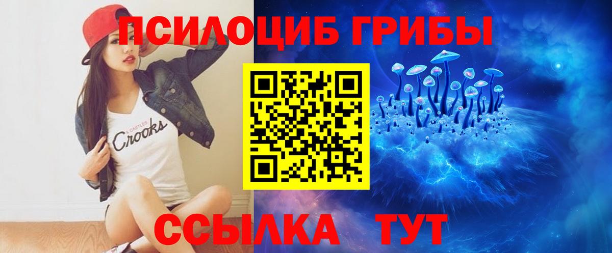 Искитим  Галлюциногенные грибы Cubensis  Вход с VPN  Псилоцибиновые грибы Cubensis 